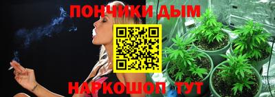 крисы Кулебаки