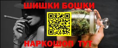 крисы Кулебаки