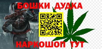 крисы Кулебаки