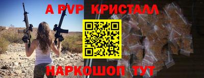 крисы Кулебаки