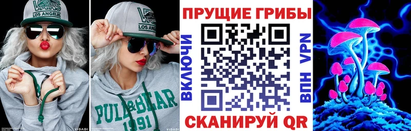 Галлюциногенные грибы прущие грибы  Избербаш 