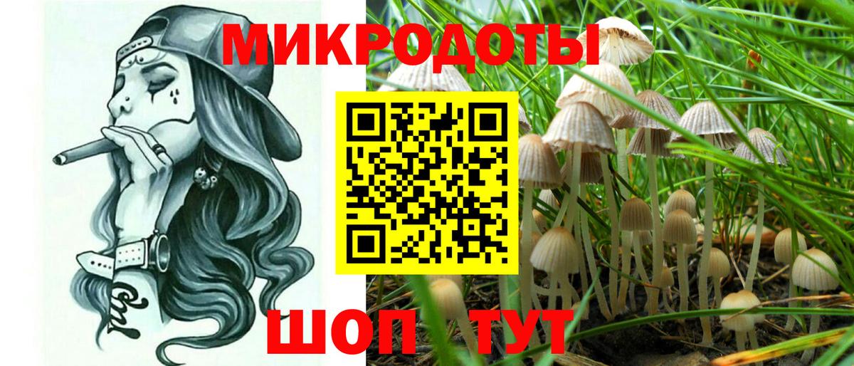 Псилоцибиновые грибы мицелий  Вход с VPN  Избербаш 