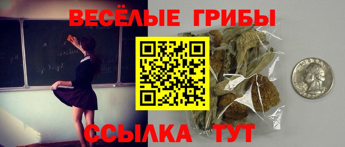 Галлюциногенные грибы Psilocybine cubensis Избербаш